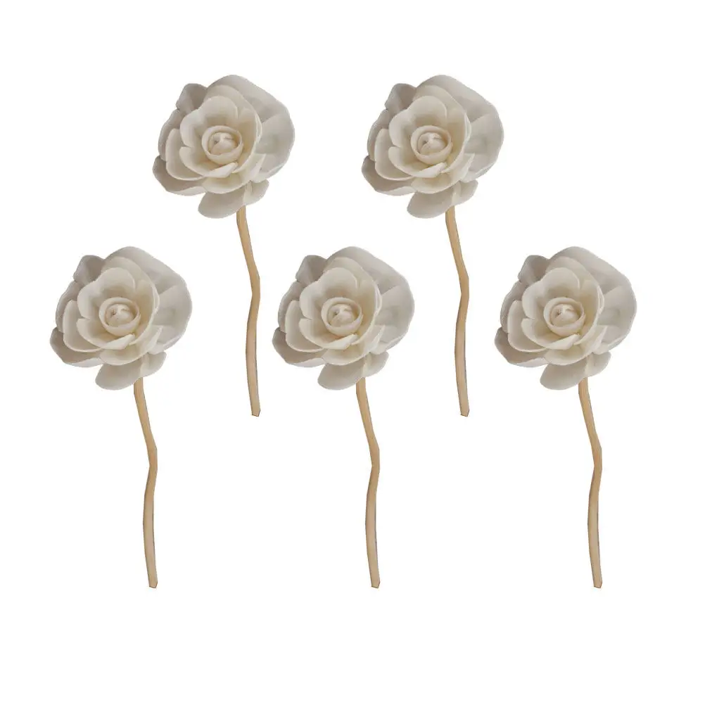 5Pcs Aroma Diffuser Reed Sticks Natural Flower Rattan Reeds for Volatile Fragrance Dispenser Indoor Air Freshening Decorative