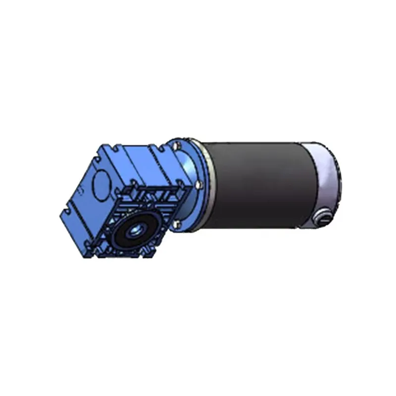 12V 24V 100W Worm Gear Brush Motor DC Gear Motor Convenient Replaceable Carbon Brush