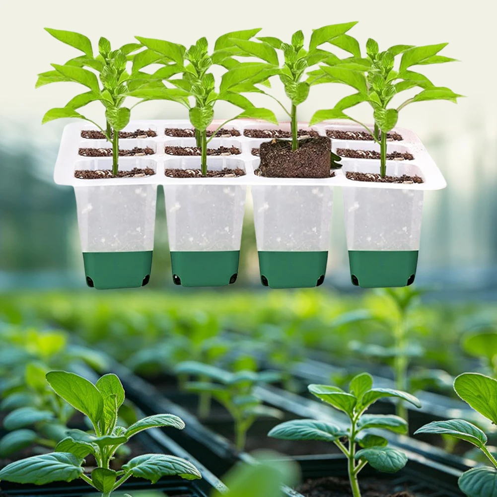 12 Holes Garden Nursery Seedli - đánh giá và giá Seed Starter Trays