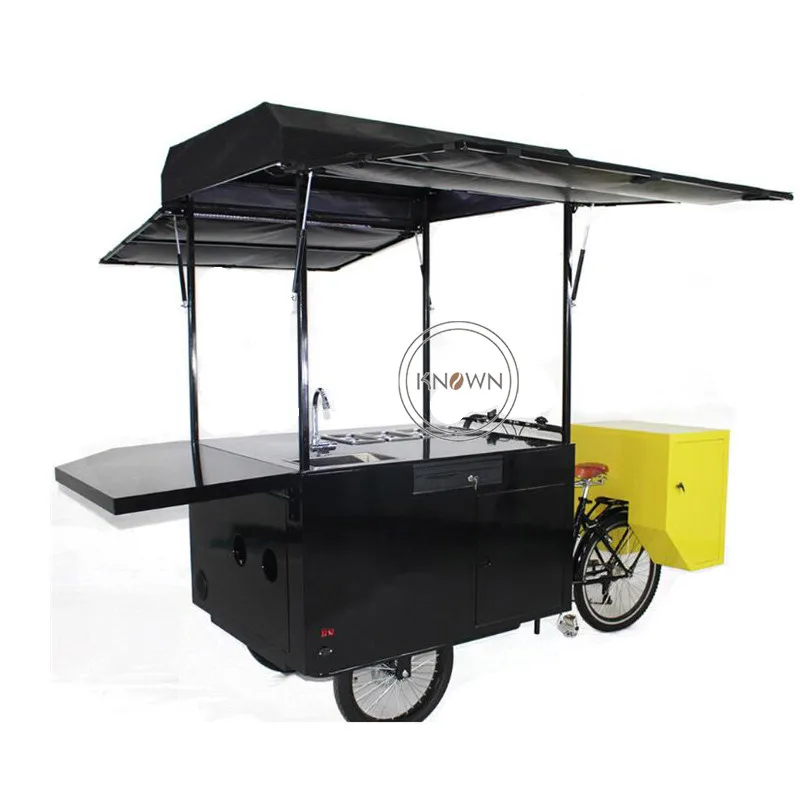 Europe Adult Electric Tricycle Outdoor Cargo Bike Family Three Wheels Food Vending Cart for Sale