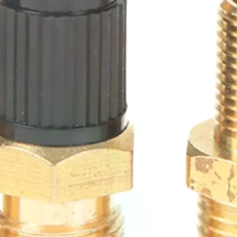 Automobile Tire Valve Core Tire Valve Tire Pressure Monitoring 1/4 1/8 NPT Valve