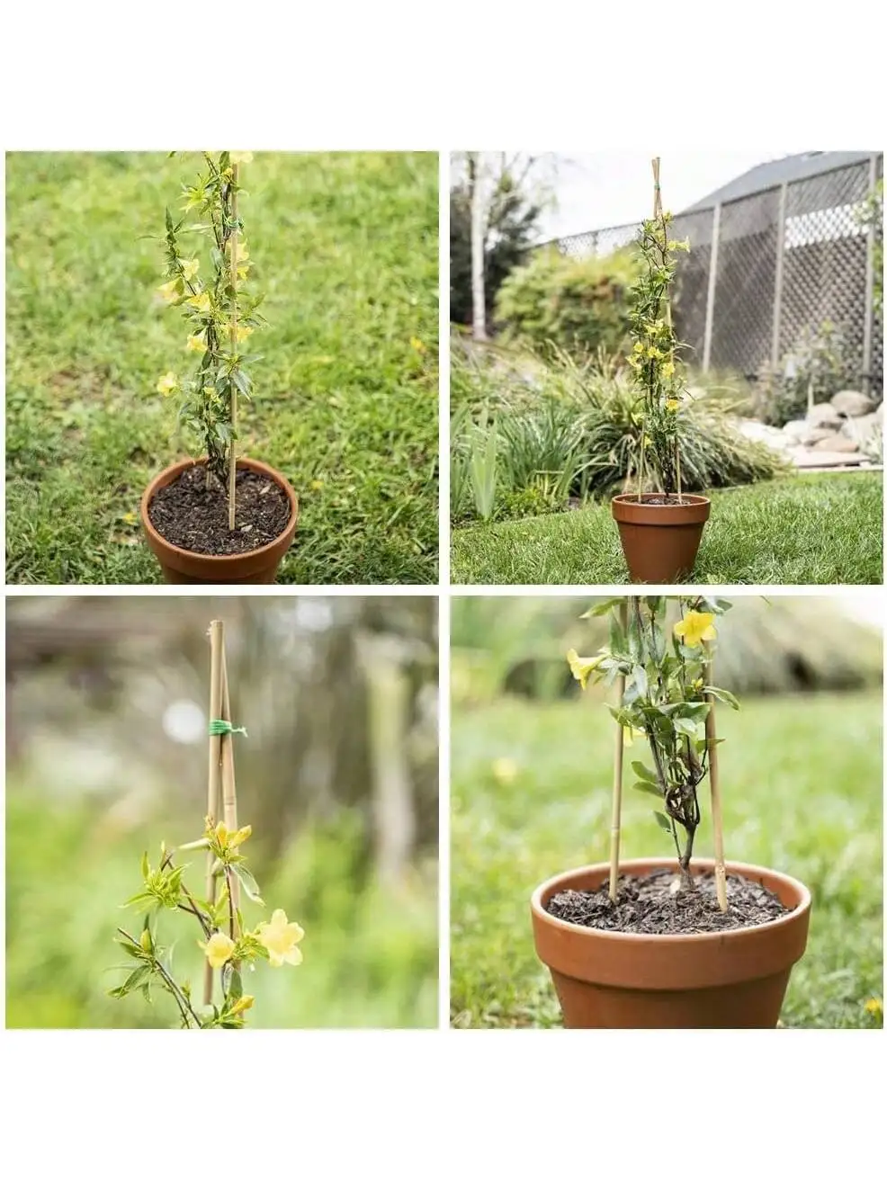 20pcs Bamboo Garden Wooden Stakes Ecological Friendly Bamboo Plants Wooden Stakes, Climbing Plants - Bamboo Sticks