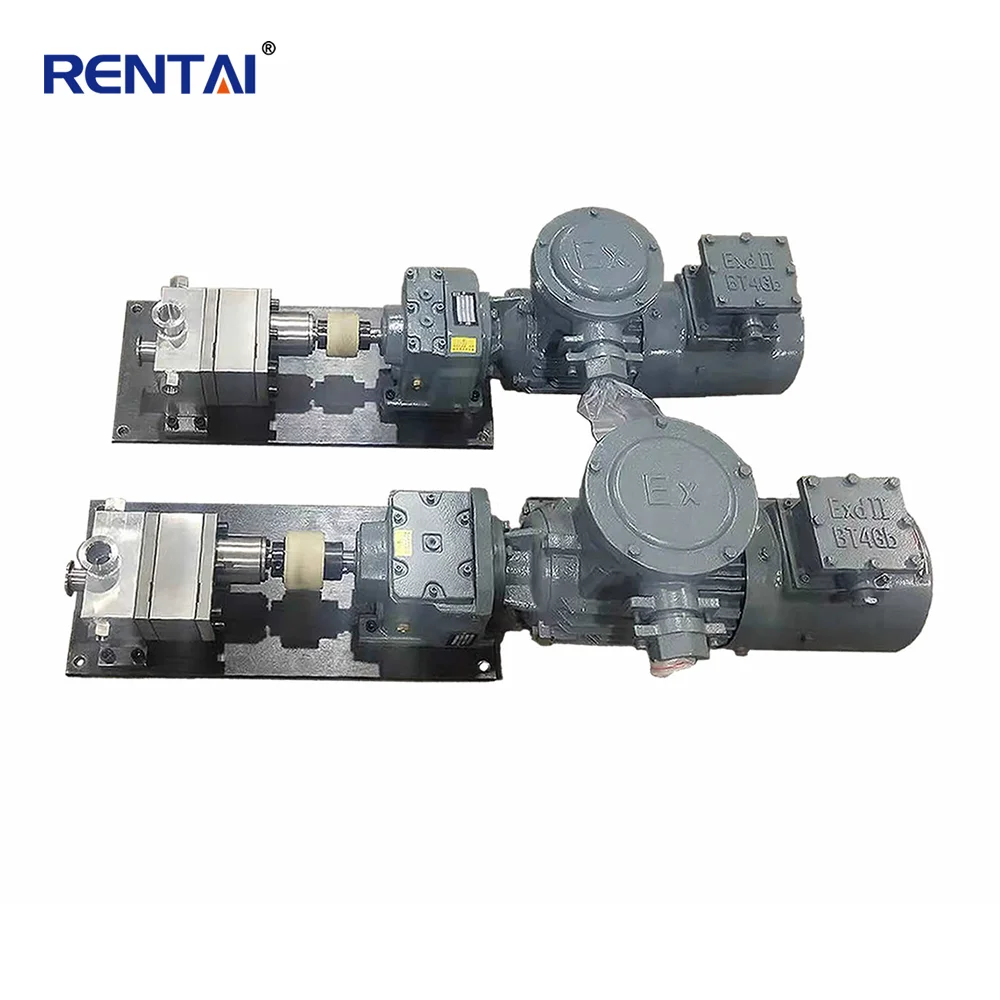 

Spinning Gear Metering Pump with Riot reduction motor