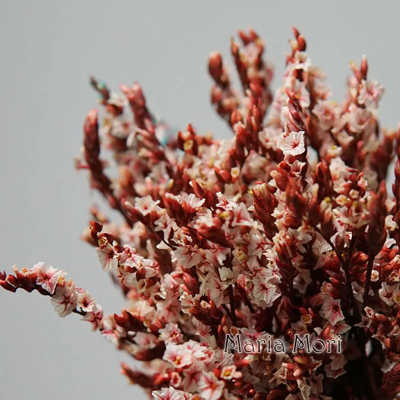 5 جرام/الملونة Dired الحفاظ على الكريستال العشب ديكور المنزل مكتب الزفاف رائحة الشموع الراتنج الايبوكسي اليدوية DIY المواد #1