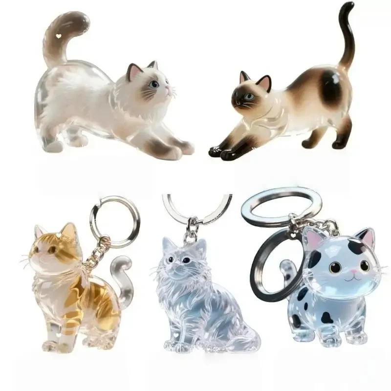 

Cute Cat Hair Storage Keychain Bag Pendant Transparent Pet Fur Keepsake Capsule Souvenir Collection Gift Decoration Accessories