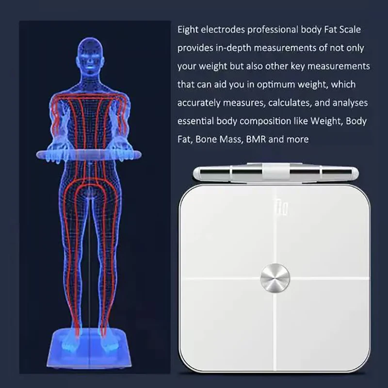 New Eight Electrode Intelligent Bluetooth Body Fat Scale For Fat Protein BMI Non-Inductive Dual Frequency Current Measurement