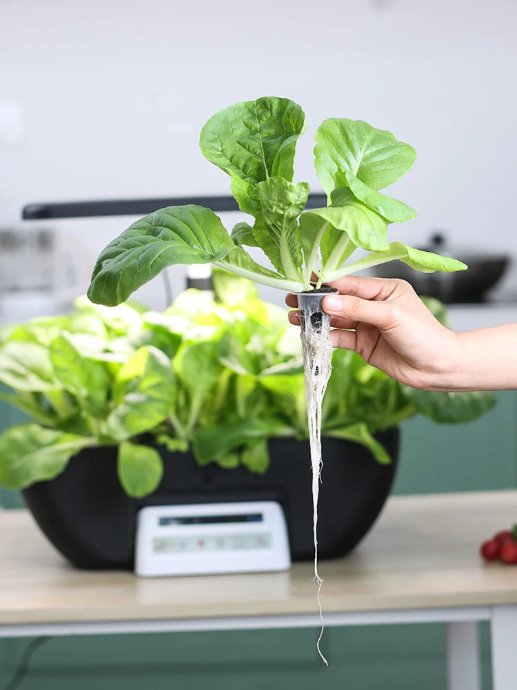 with LED Grow Light, Adjustable Height Automatic Timer Germination Kit for Vegetables & Fruits