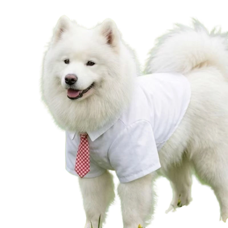 Camiseta de Verano para Perros Grandes, Ropa para Pomeranian, Bichón, Poodle, Schnauzer, Border Collie, Husky, Labrador, Golden Retriever, Disfraz para Perros Grandes