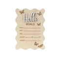 (hello world)-E