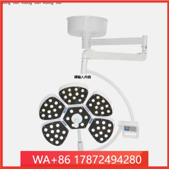 eterinary operating illumination supplier surgery equip shadowless hospital surgic for pet