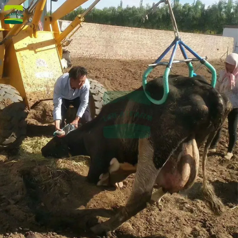 Upright frame for dairy cows Auxiliary upright frame Standing frame Cow lift Cow hanger Cow hanger retractor