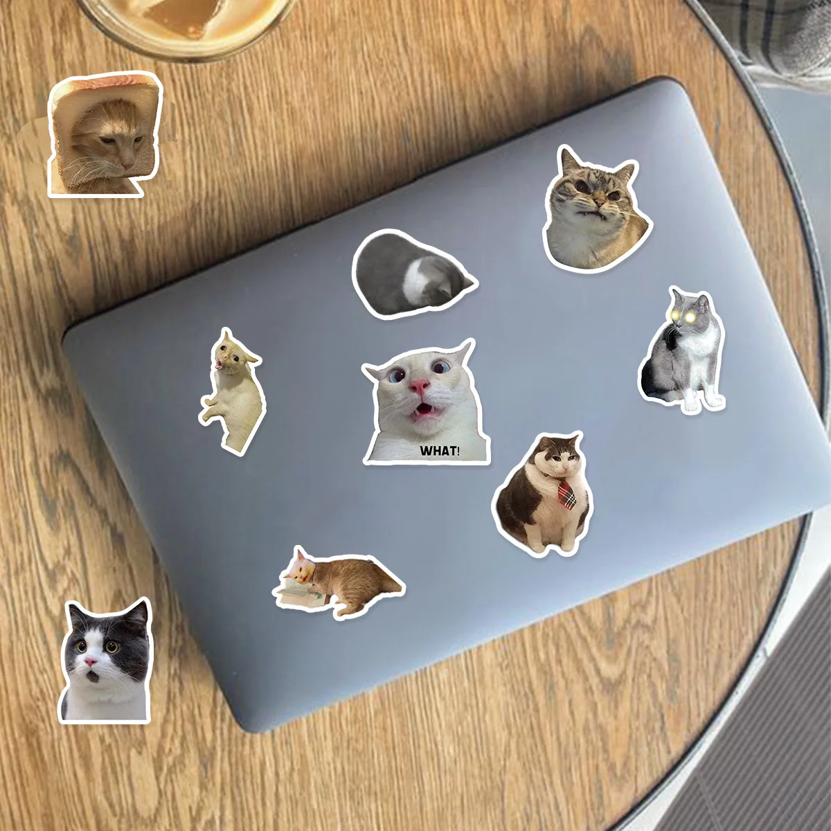 50pcs Funny Cat Animals Stickers Bag Waterproof Vinyl Decals DIY Laptops Water Bottles Phones Decorative Stickers Perfect Gifts