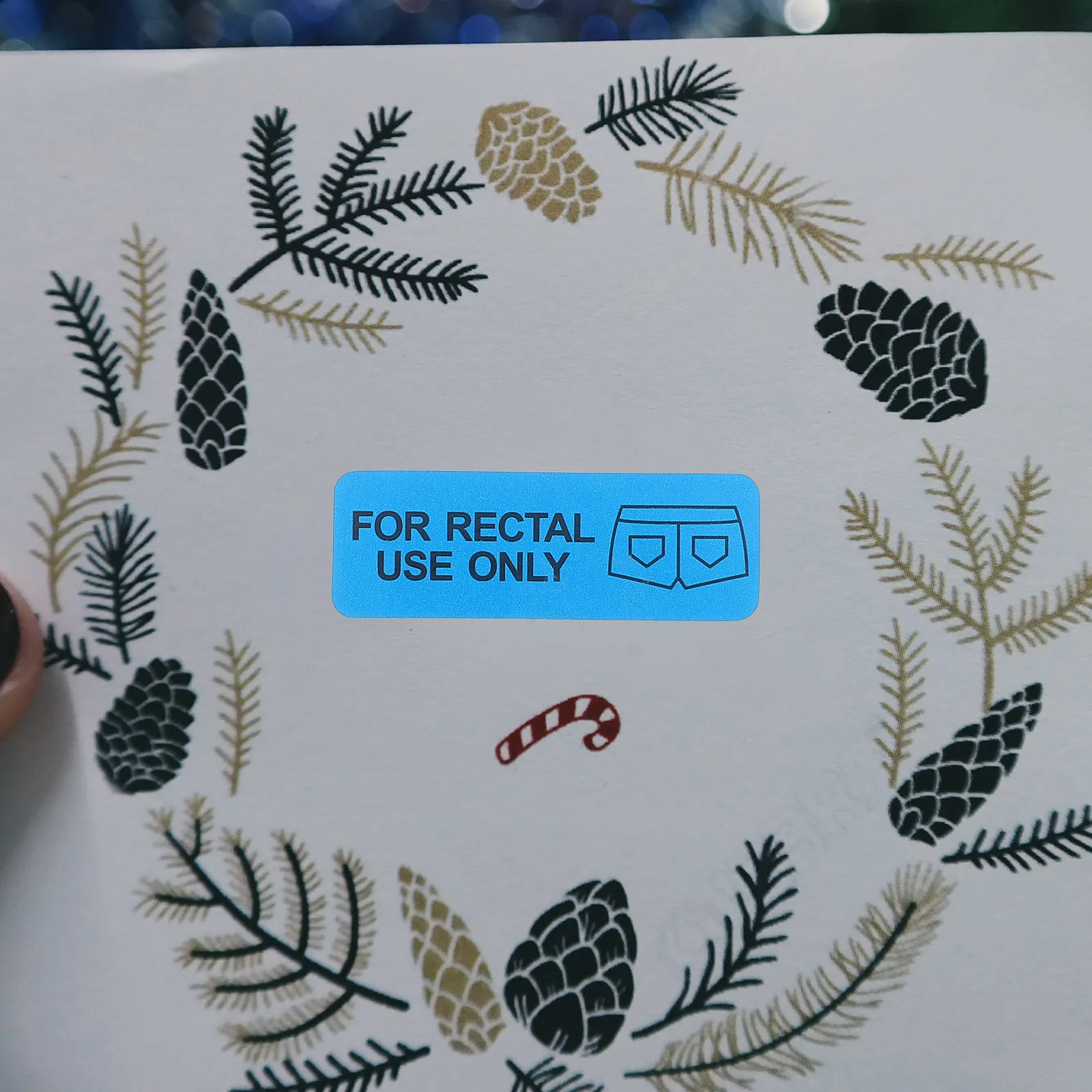 

500 Pcs Rectal Stickers 05x15 Inch Waterproof Decorative Tags for Adult Fun Party Labels Halloween prankstickers Folder