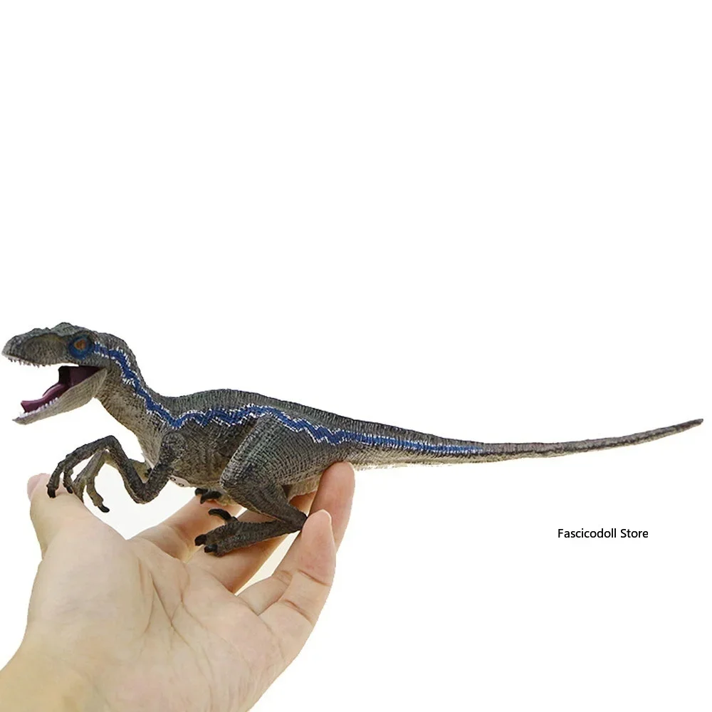 

Blue Velociraptor Dinosaur Action Figure Animal Model Toy Collector dinosaur model dinos 채집통 곤충 dinosaurio