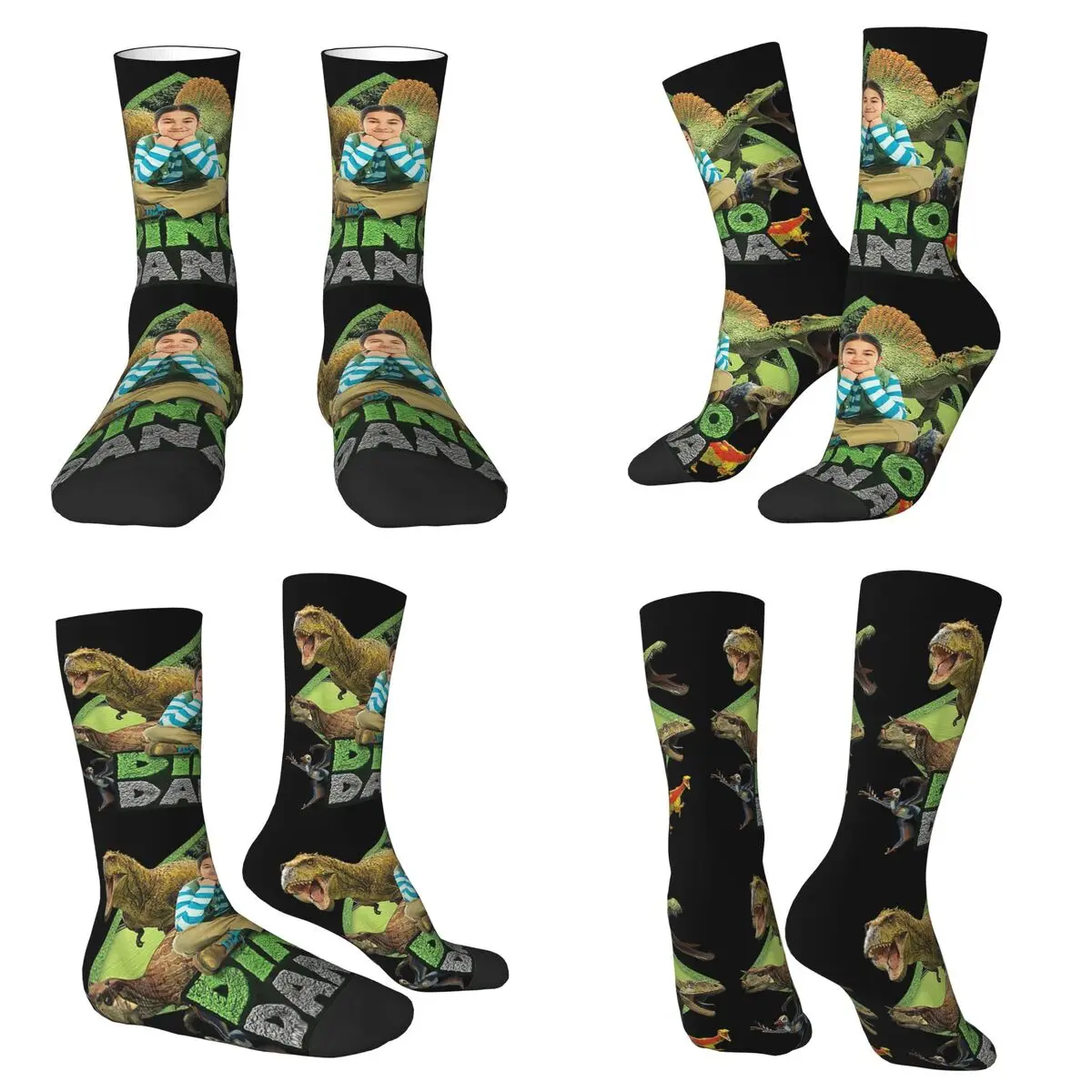 

Dino Dana настоящие носки Harajuku, впитывающие пот чулки, аксессуары, длинные носки для подарка на день рождения унисекс