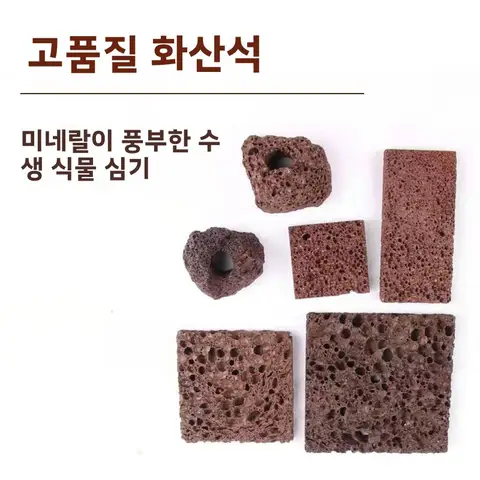 산소화 석면 산소화 석면 화산석 스틸 스테인리스 스틸 배수구 뚫기 배수구 뚫기 식물 식물 화이트 화이트