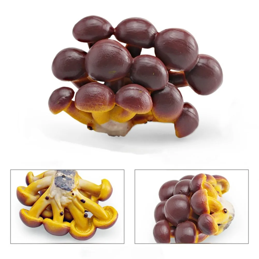 

Vegetable Model Fungus Figurines Landscape Miniatures Artificial Simulation Mushroom Teaching Matsutake Oyste Fungus Model