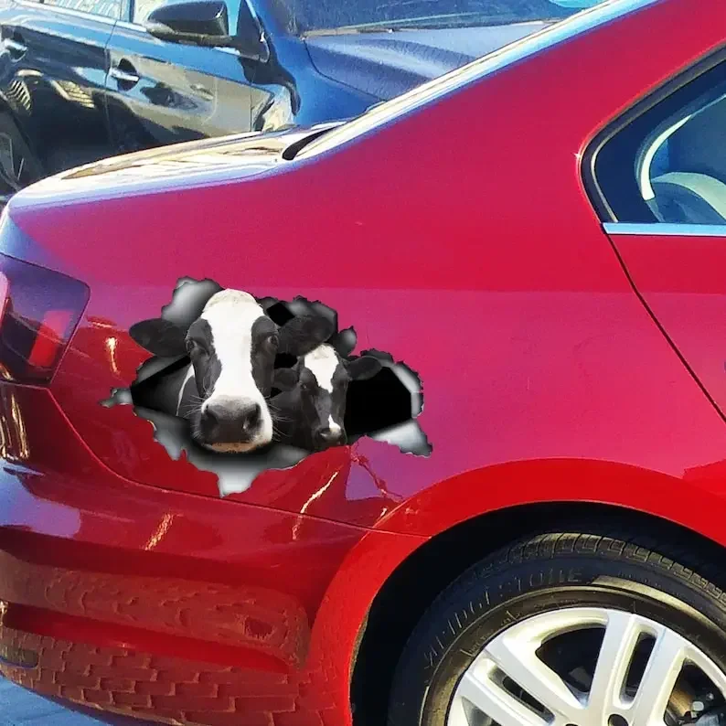 Black and white Cows car decal , cow car magnet, cow sticker