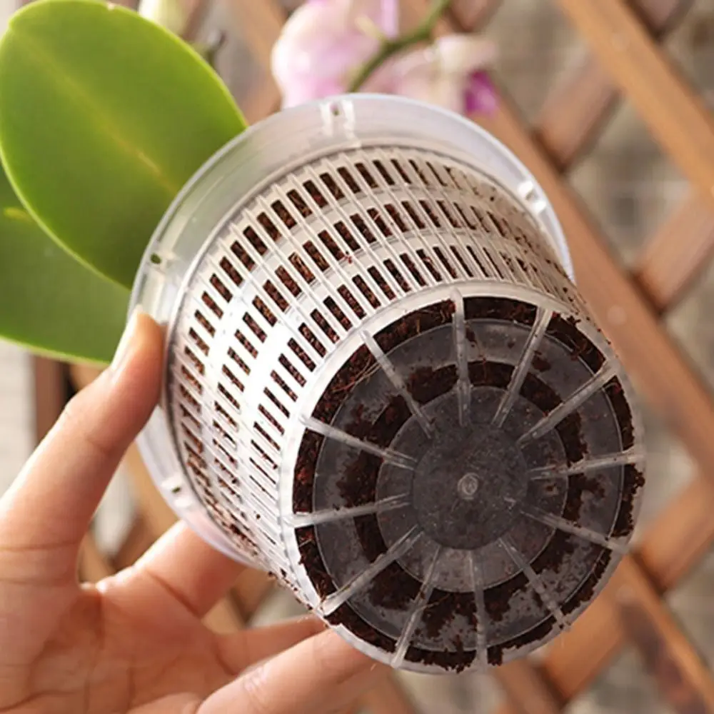 Plastic All Kinds Plants Orchid Home For Home Decoration Cattleya Plant Container Stomata Flowerpot Flowerpot Meshpot