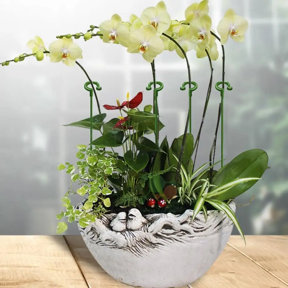Amaryllis Support Stakes 10pcs Plant Support Stakes with Clips Garden Single Stem Flower Support Rings Amaryllis Tomato Orchid