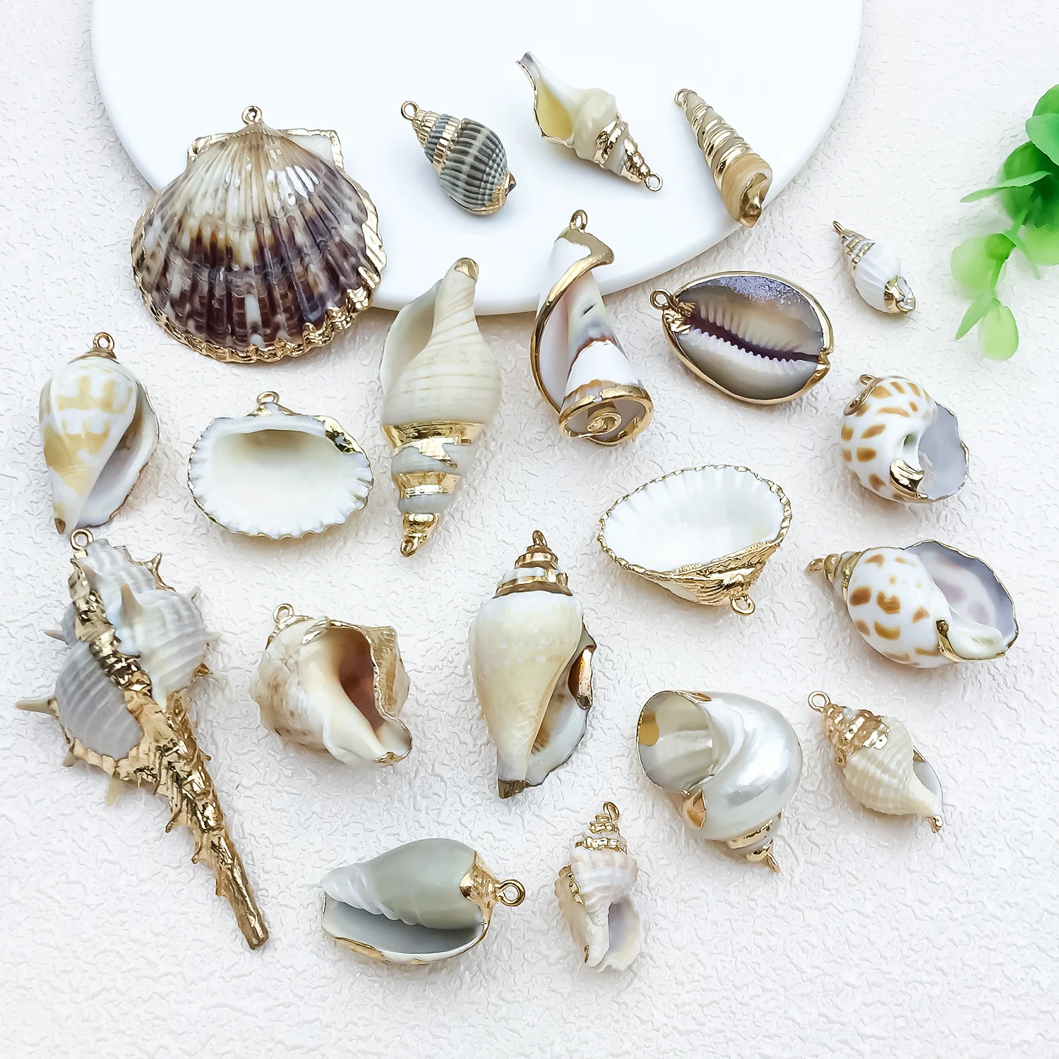 5pcs Natural Conch Shell Pendants Electroplating Seashell Charms For Boho Ocean DIY Jewelry Making Earrings Bracelet Necklace