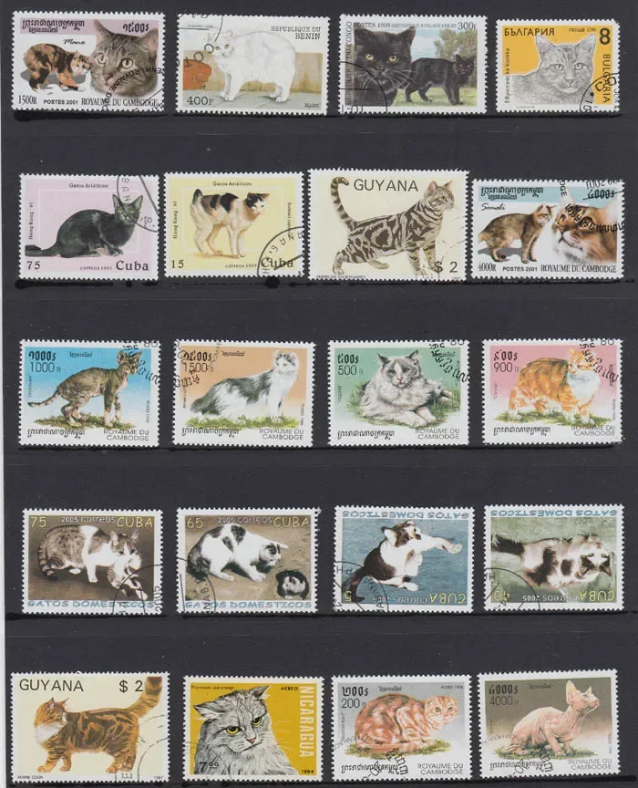 50Pcs/Set Cat Kitten All Different From Many Countries NO Repeat with Postmark Postage Stamps for Collecting