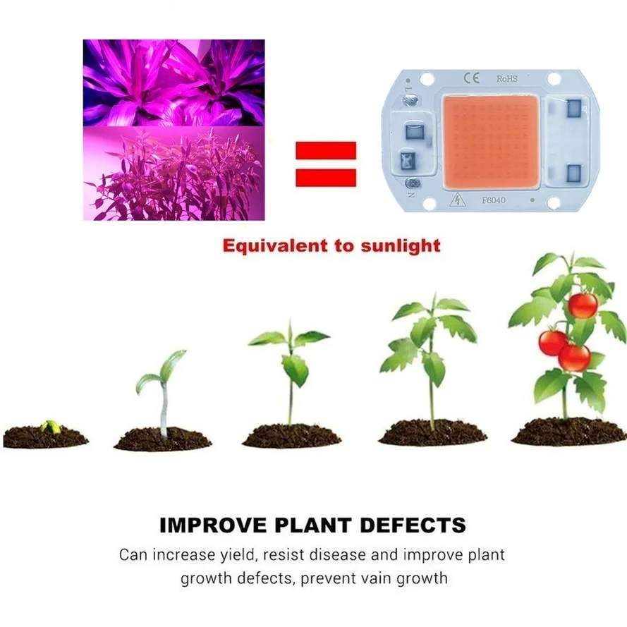 Lámpara LED COB para cultivo de plantas de interior, lámpara Phyto de espectro completo de 110V/220V, 20W, 30W, 50W, iluminación para crecimiento de