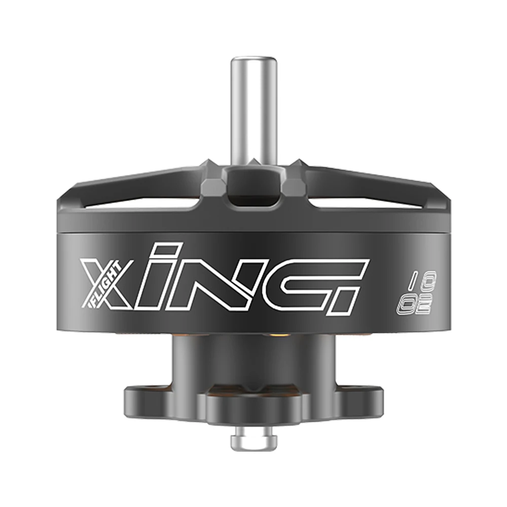 IFlight XING 1002 19000KV/ 22000KV Bürstenloser Motor 2,4g für FPV Freestyle 75mm Tinywhoop Drohnen DIY Teile