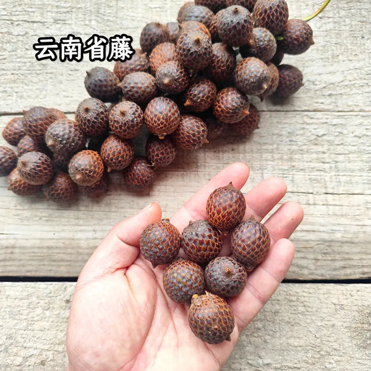 Palmetaceae Climbing Vine Xingyue Bodhi Hair Scales Blue Gray Provincial Vine Plant Leaf Plume Full