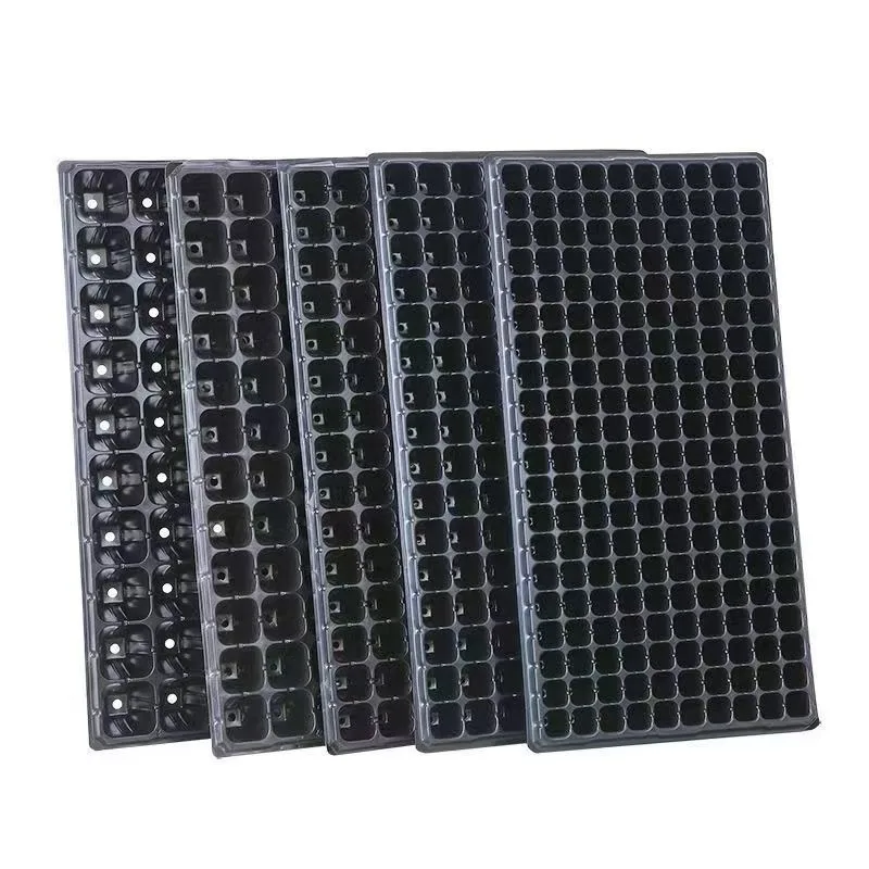 Seedling hole plate, pepper plate, hole plate, thickened succulent tray, watermelon, corn, strawberry, tomato, cuttings,