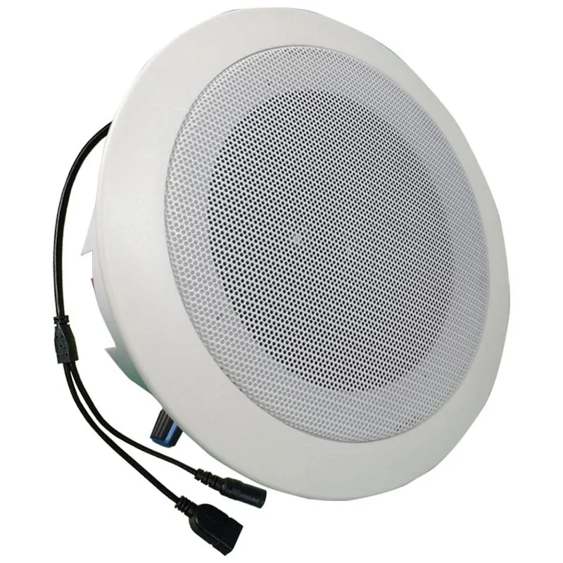 

Голосовой плеер мощностью 10 Вт. Активный потолочный динамик. Встроенные усилители. Циркуляция с одним настройком или одинарной игрой.