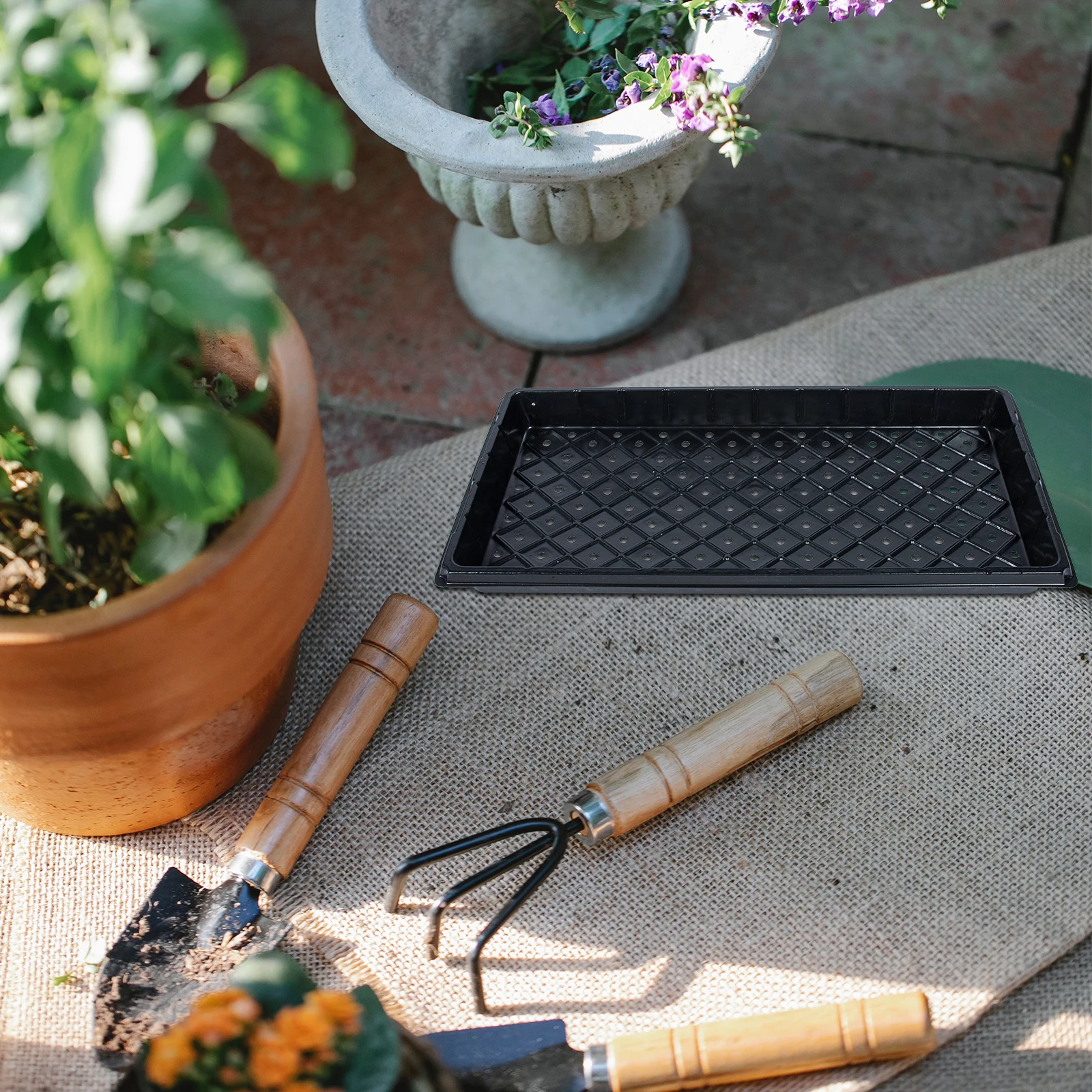 

5 Sets Grow Tray Seedling Plate Flat Plant Growing Trays Take Away Plants Nursery