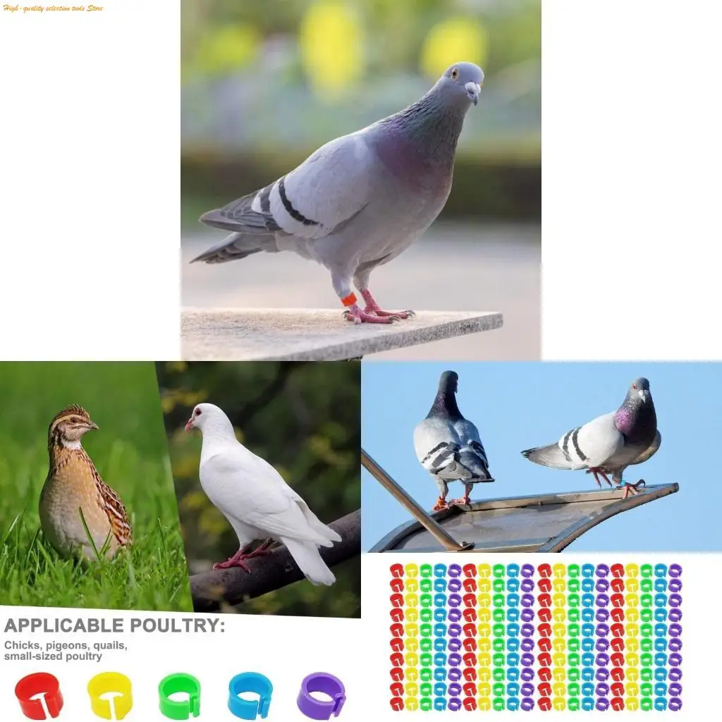 203F 200 Pcs Bird Foot Rings Species Identify for Pigeons Parrots Training Rings