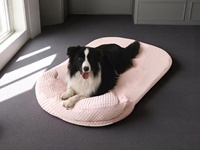 Removable Ice Silk Cooling Pet Bed Sofa for Dogs Cats - Breathable Foam Mat Cushion Summer Lounger Pad Dog Cozy Kennel