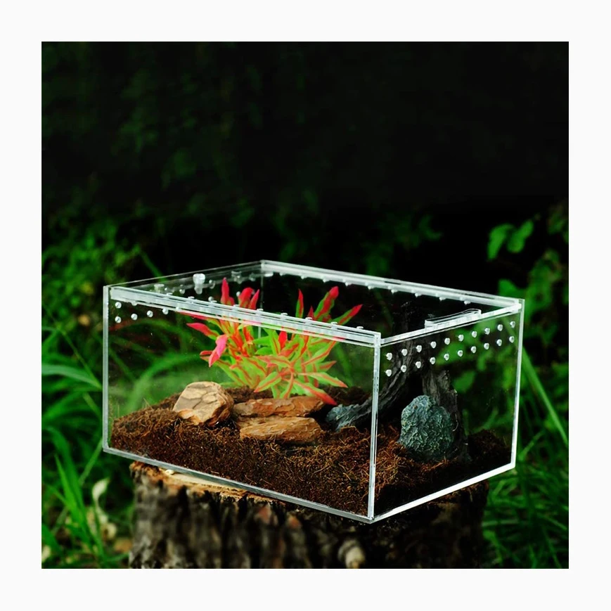 XITU Small Square Breeding Box Tarant Ant Farm Pet Cuboid Acrylic Sliding Reptile Terrarium Nest Reptile Boxes Enclosures