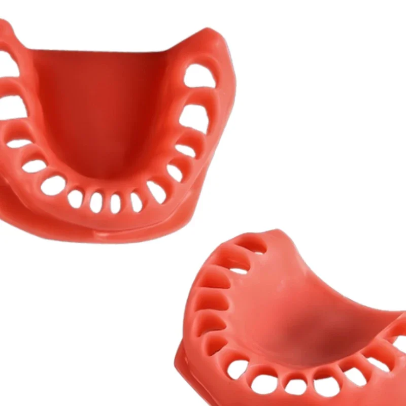 Teaching Practice Model 28 Gum Model Oral Communication Demonstration Standard Gum Dentistry Practice