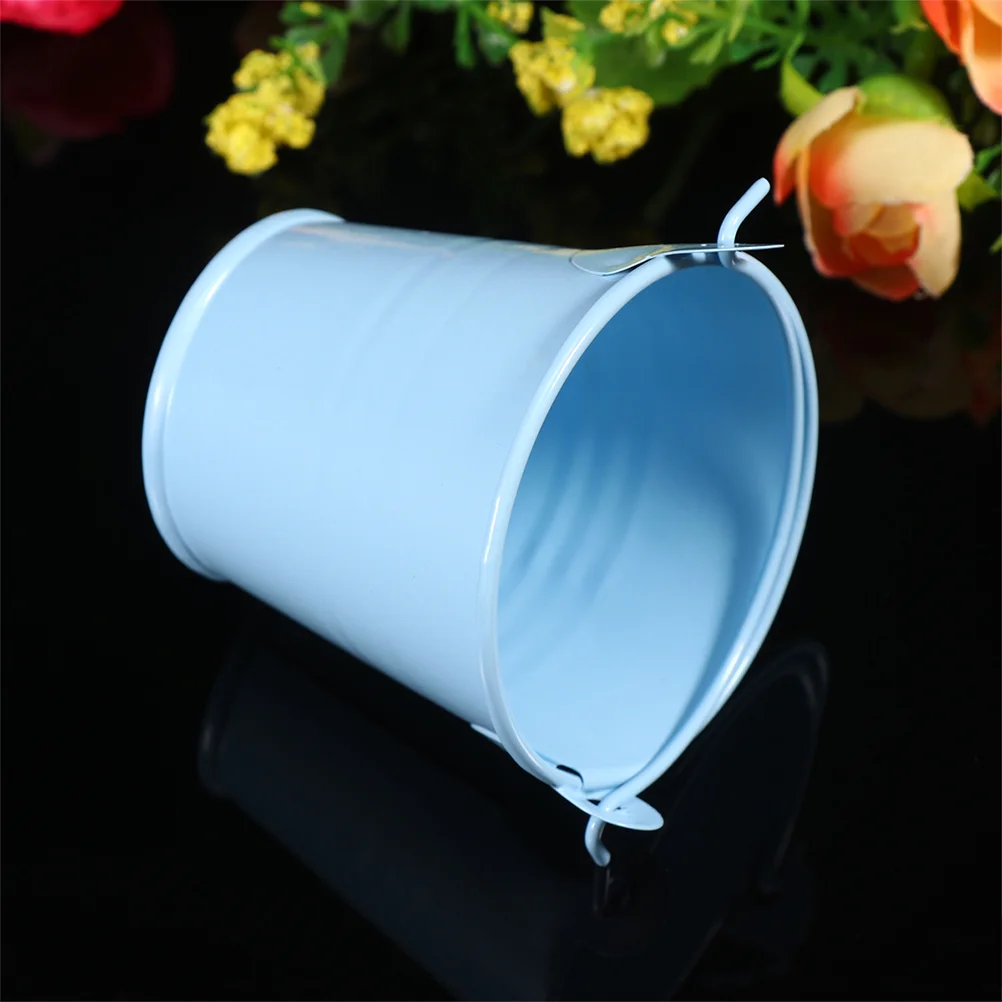 12 Pcs Succulent Plants Small Iron Bucket Child Planter Pot Galvanized Flower Photo Prop