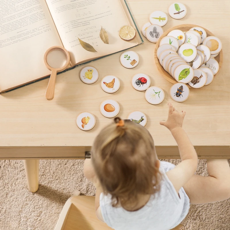 Montessori yaşam döngüsü bulmaca ahşap tahta blok bebek oyuncak Rducational oyuncak numarası eğitim bebek eğitim oyuncak oyunu oyuncak ürün