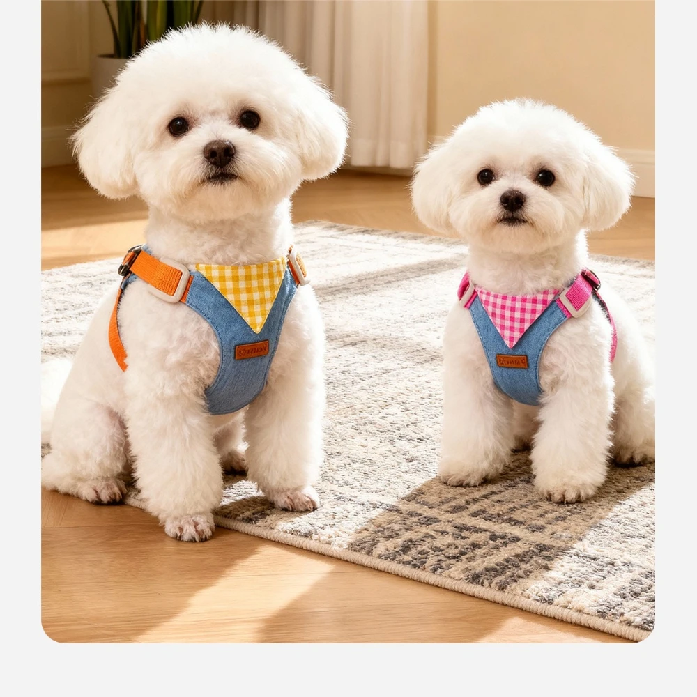Conjunto de Arnés y Correa para Perros Pequeños, Cómodo Arnés para Pasear para Poodle y Pomeranian, Equipo para Mascotas para Exteriores