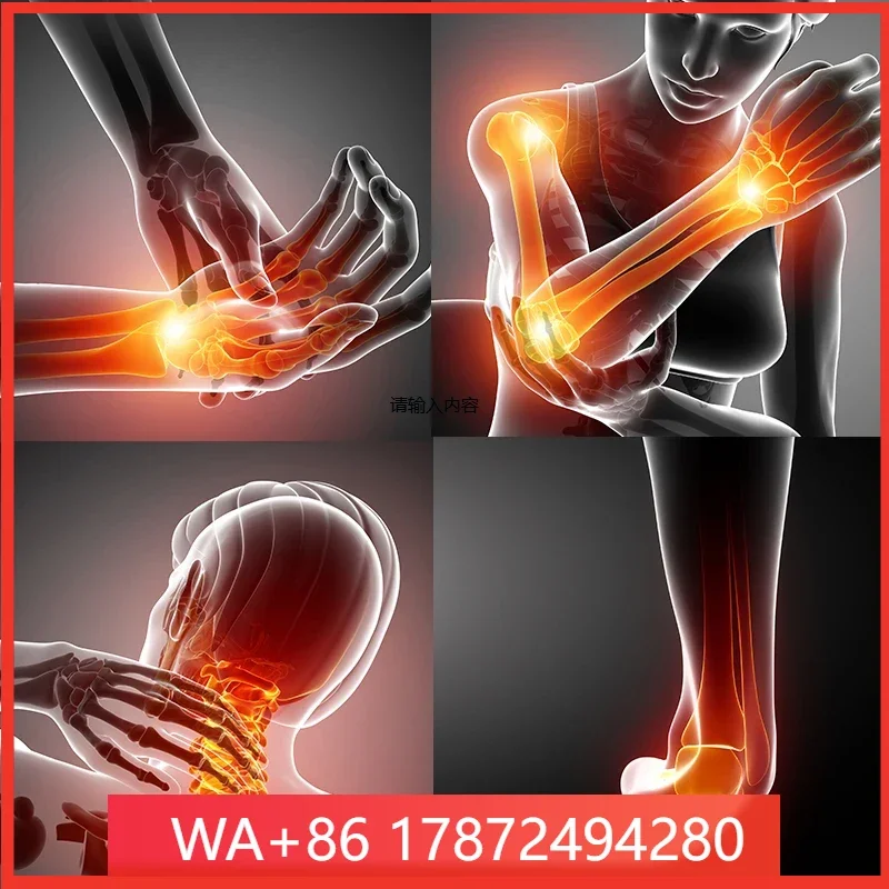 Handheld Cold Therapy Device for Horse Arthritis Pain Relief And Wound Healing Physical Therapy Equipment