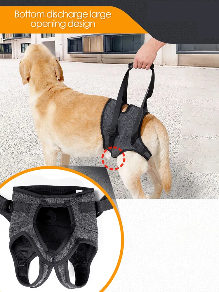 Verstellbares Hinterbein-Hebegurt für Hunde, Tragbare Gehhilfe für Ältere, Behinderte und Verletzte Hunde, Arthritis-Rehabilitation – Detail 7