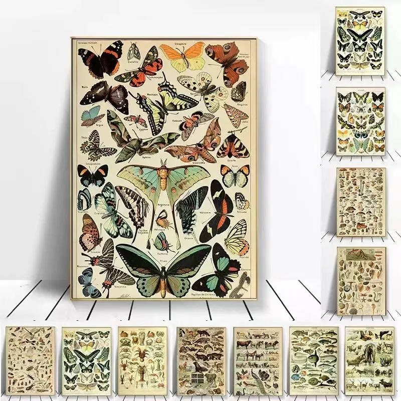 Botanical and Taxidermy Decorative Painting Vintage Print Wall Art Canvas Mural for Living Room Modern Decor, Perfect for Home A