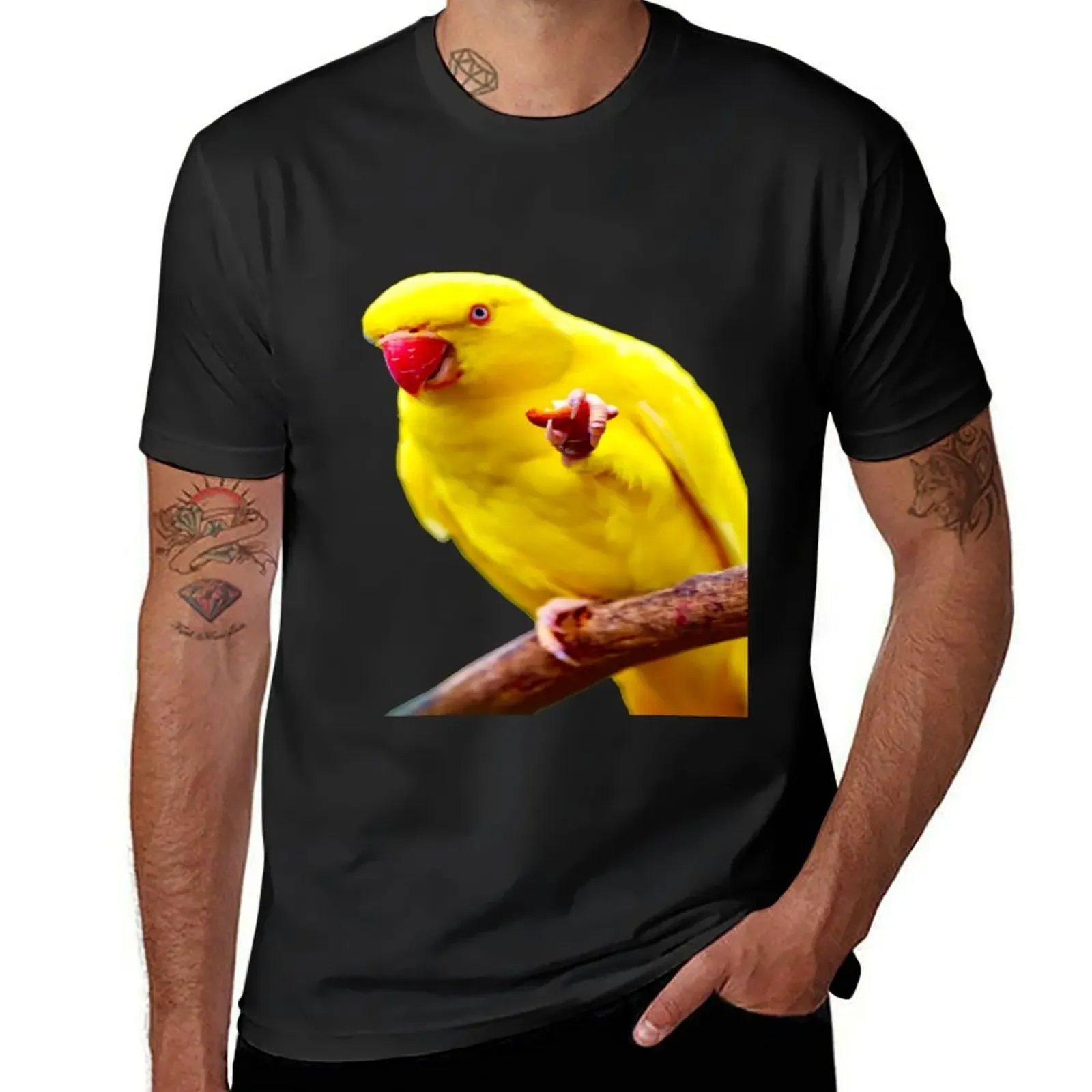 

Yellow Indian Ringneck Parakeet T-Shirt quick-drying shirts graphic tees vintage clothes t shirts men