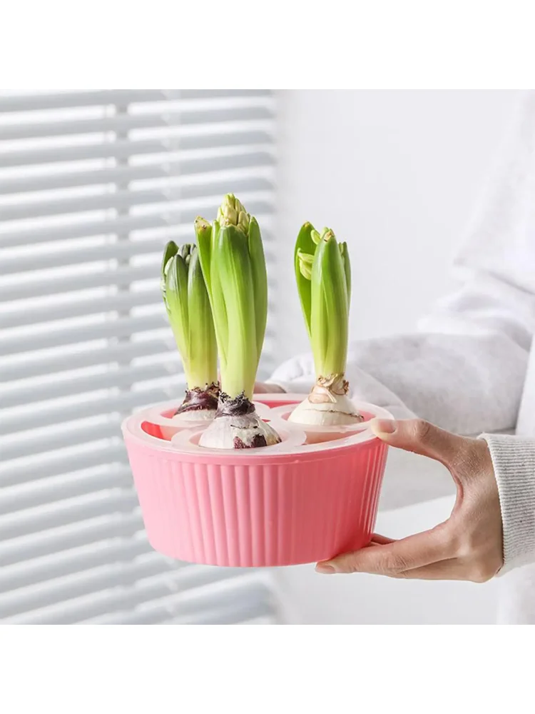 Tulips Bulb Hydroponic Flower Pot 3 Holes Flower Pot Container Flower Bulb Planting Container For Garden Planting Daffodils