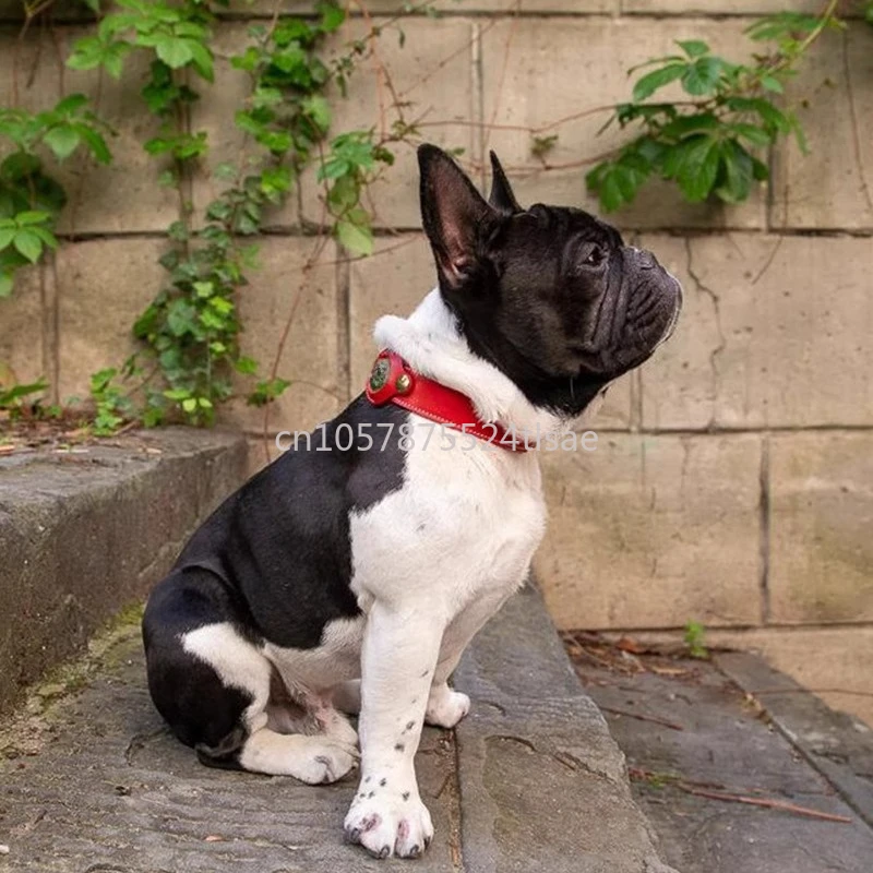Pet Anti-lost Collar Dog Gps Positioning Collar Protective Leather Case