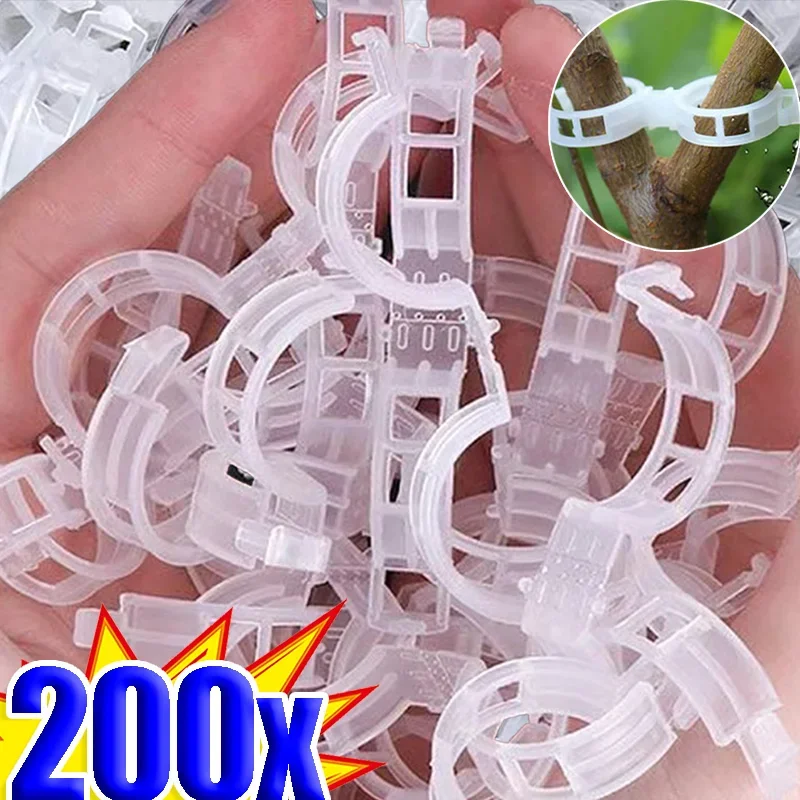 200/50pcs Plant Clips Garden Support Clips Reusable Connects Fixing Vine Protection Clip Grafting Vegetable Plants Garden Tools