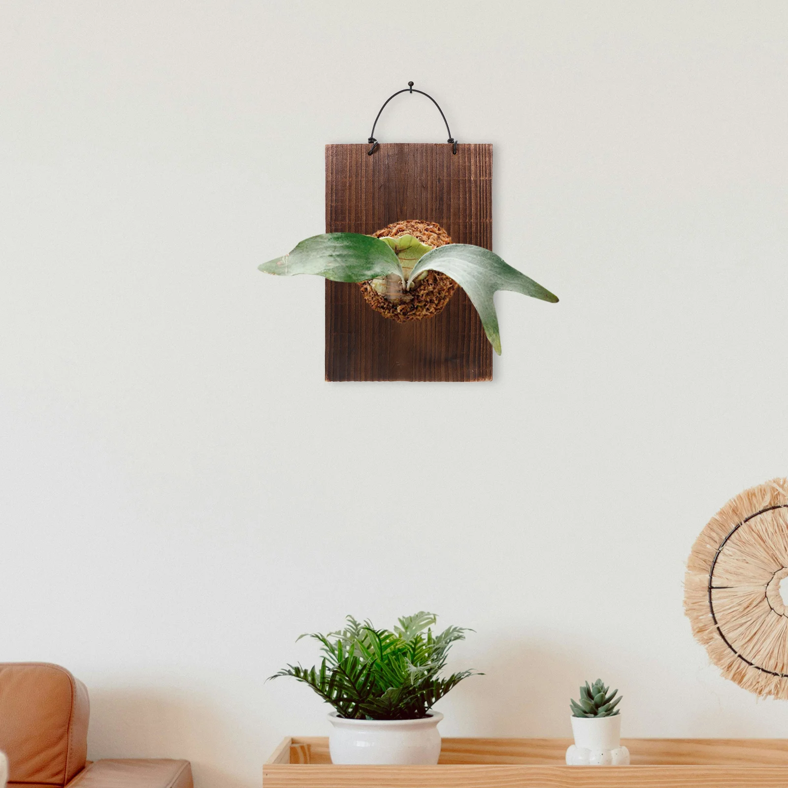 Staghorn Fern Mounting Plate Hanging Wood Sign Signage Rustic for Shop Home Decor Decoration