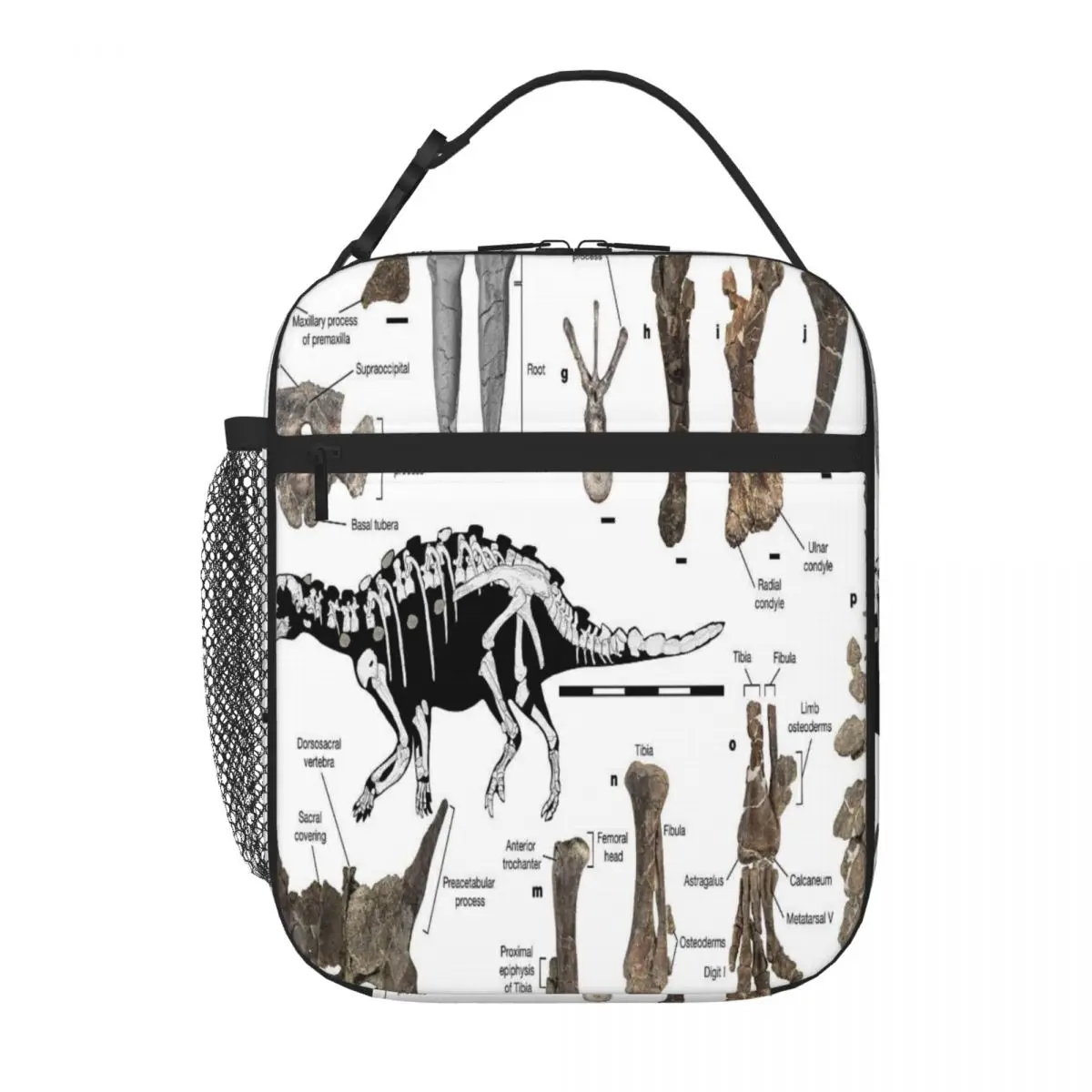 Hot Sale Dinosaur Pattern 04 Graphic Camping Lunch Bag Lake Picnic Lunch Tote