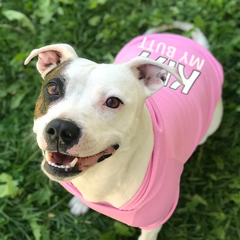 كلاب كبيرة ومتوسطة وصغيرة، ملابس مخملية دافئة للحيوانات الأليفة، ملابس للكلاب، سترات للكلاب، سترات للكلاب، كلاب كبيرة