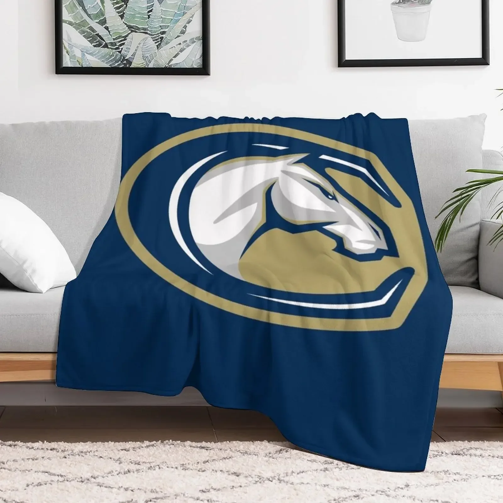 UC Davis Aggies Throw Blanket Sofa Throw Bed Fashionable Blankets